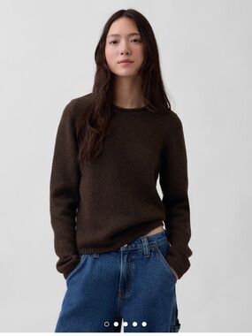 NWT Gap 100% Cotton Roll Neck Sweater Terra Brown Crew Heavy Knit Fisherman S